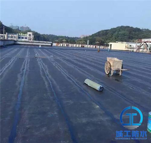 岳麓廣汽本田4S店停車廠屋頂防水